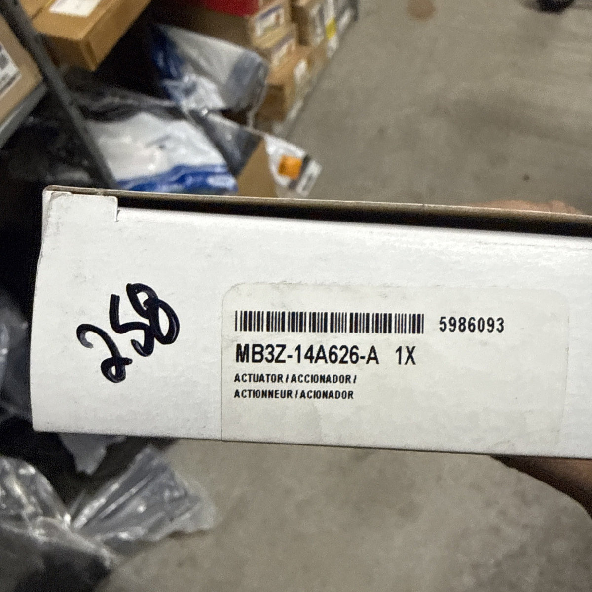 47876031