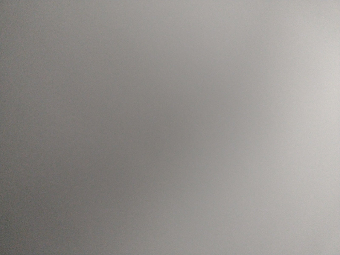 47295202
