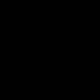 47875995