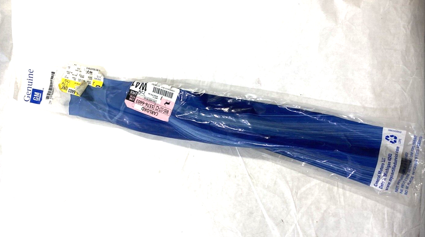 Genuine OEM GM Tahoe Driver Side Rear Door Front Auxiliary Weatherstrip 15766603