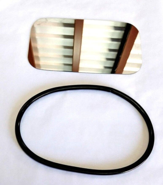 New OEM International Mirror Glass 2589155C92 6E7Z-17682-D