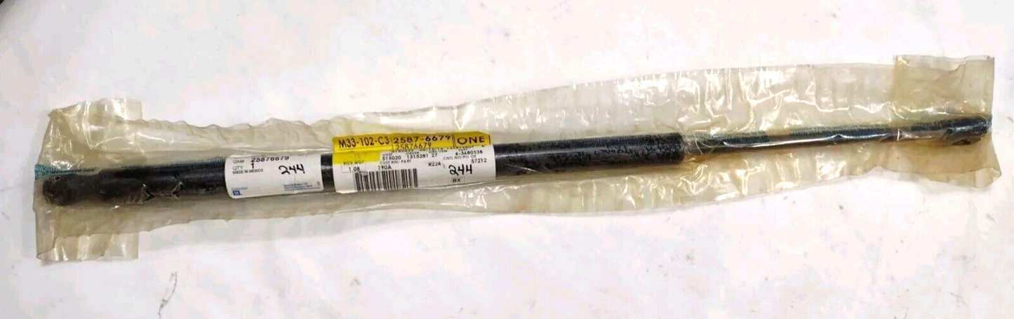 Genuine OEM GM Chevy Equinox Liftgate 2008-2009 25876679