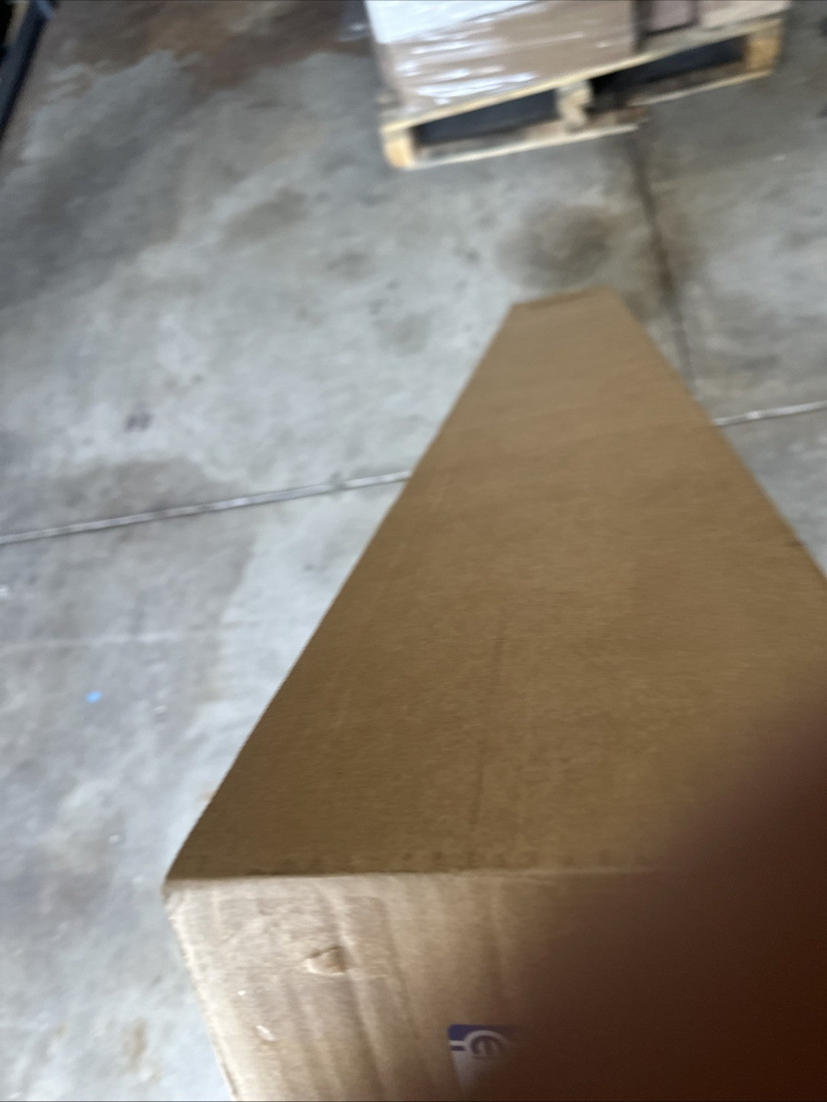 47300855