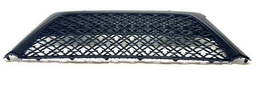 New OEM Genuine Toyota Camry Lower Grille 2018-2020 53102-06520