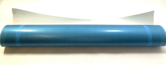 New OEM Ford F150 Harley Davidson Hood Decal Silver 2008 8L3Z1820000A