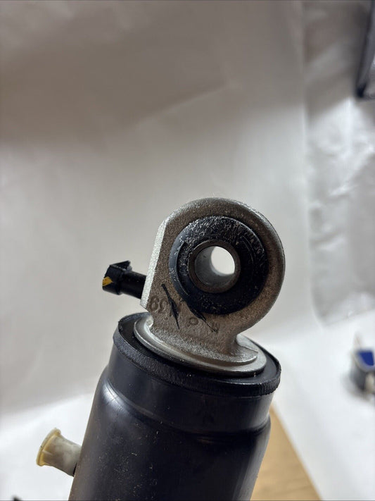 Genuine OEM GM Cadillac Escalade Rear Shock Absorber 2000-2006 19331452