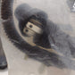 47292651