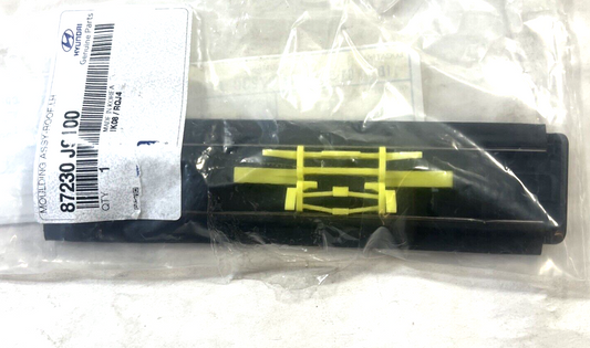 Genuine OEM Hyundai Kona Front Left Driver Side Roof Molding Assembly 87230J9100