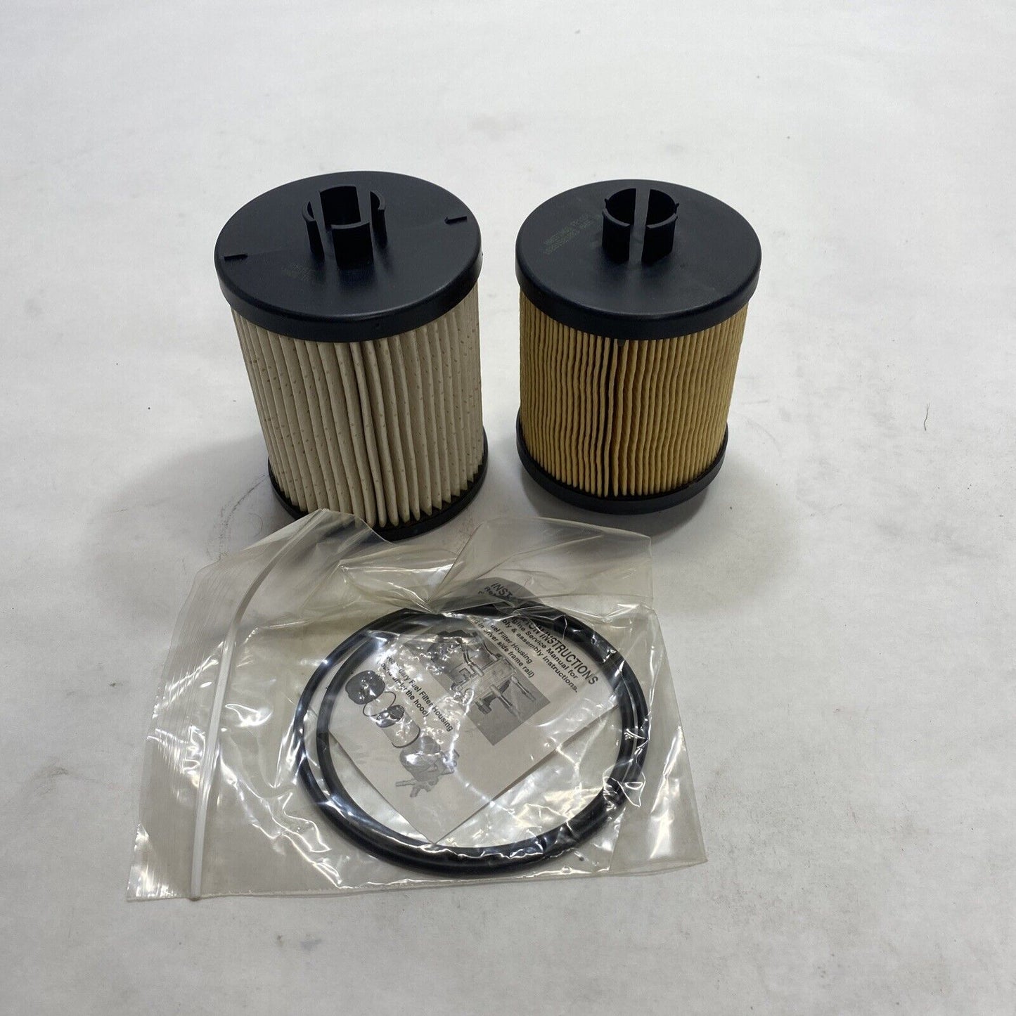 New Hastings Fuel Filter Element Kit (Set of 2) FF1166