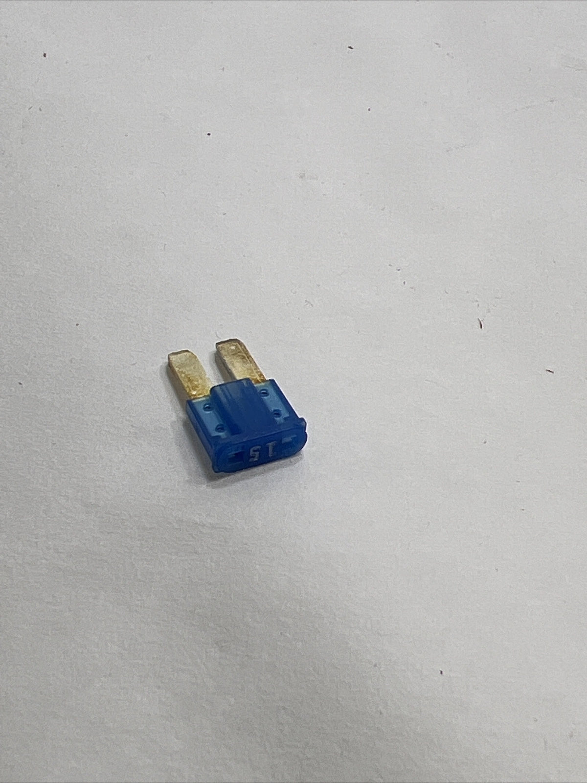 47293406