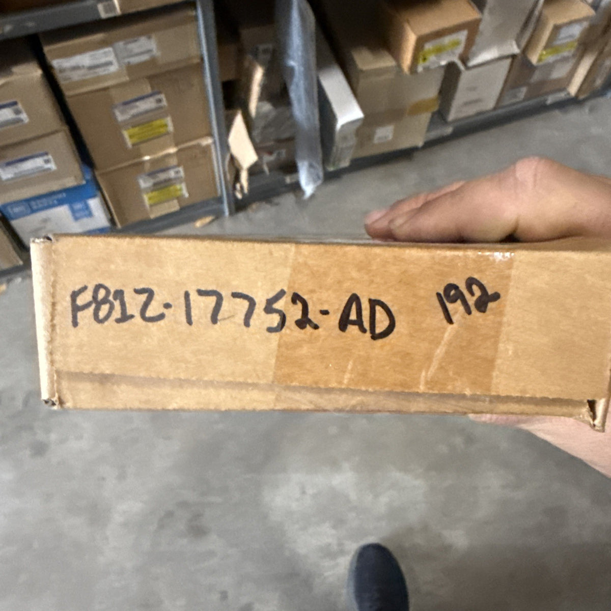 47875161