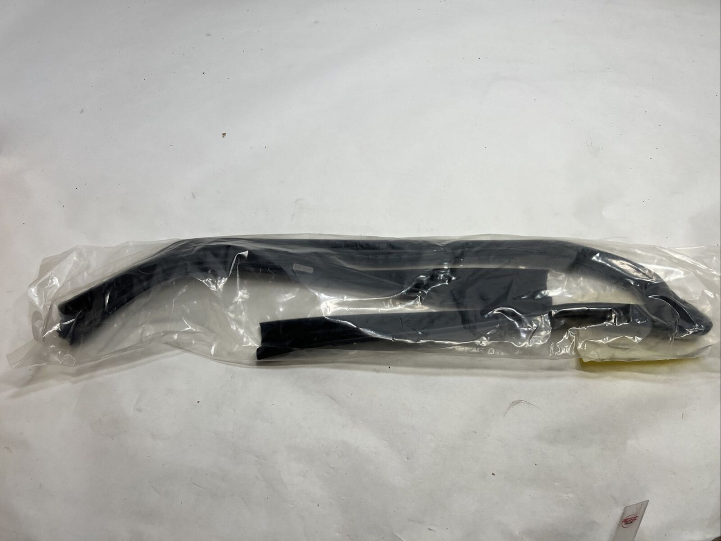 New OEM Genuine Ford EcoSport 2018-2021 Run Channel FN1Z-7421596-F