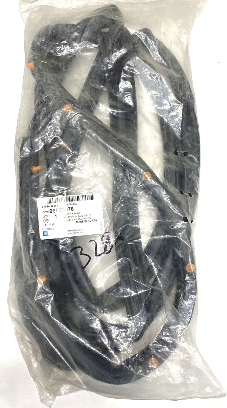 New OEM Chevy Aveo Sedan Driver Side Rear Door Weatherstrip 2004-06 96583076