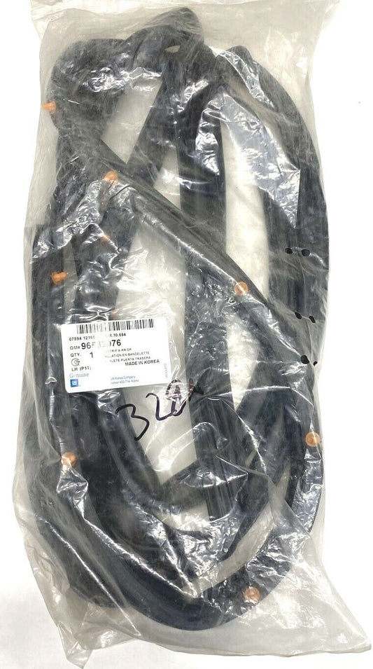 New OEM Chevy Aveo Sedan Driver Side Rear Door Weatherstrip 2004-06 96583076